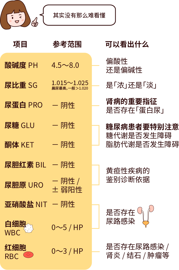 排尿黃、異味大，可能是身體在報警！